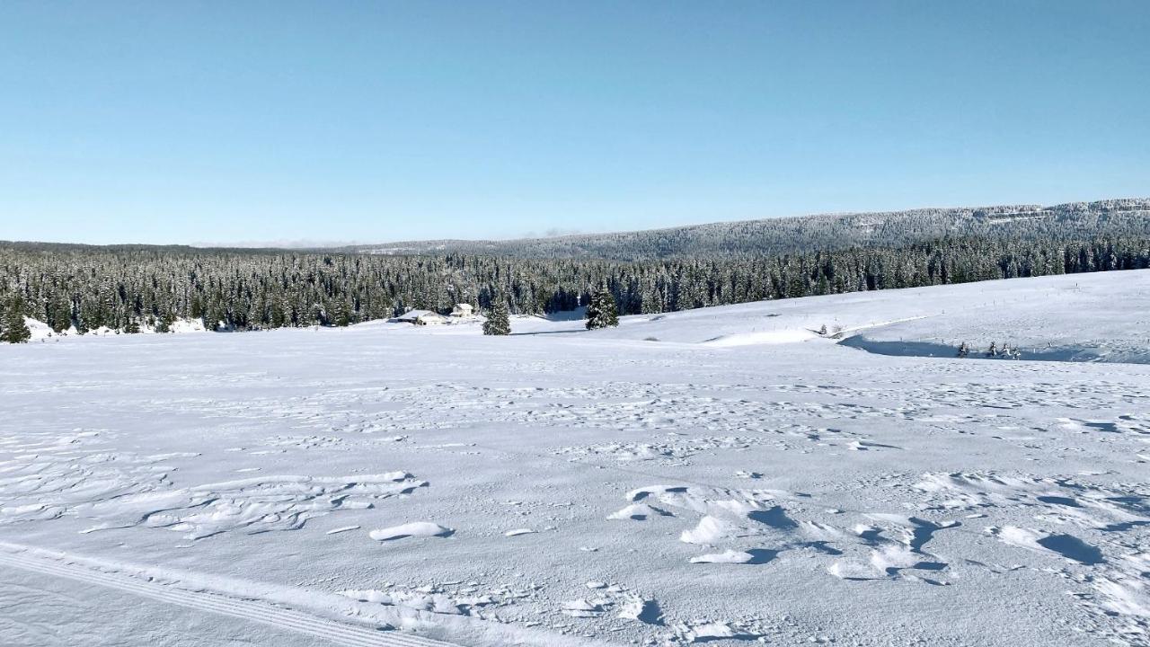 Appartement Ideal Pour Ete Et Hiver, Situe Au Pied Des Pistes De Ski Et Des Sentiers De Randonnee Prémanon المظهر الخارجي الصورة